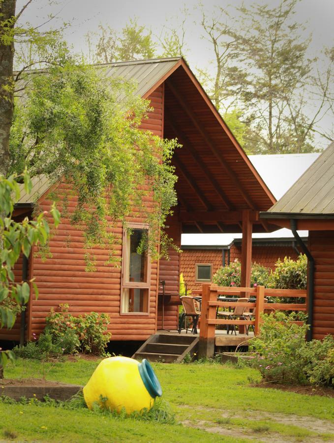 Cabanas Risso Villarrica Exterior foto